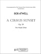 A Cirrus sunset P.O.D. cover